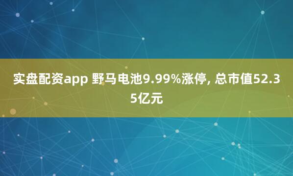 实盘配资app 野马电池9.99%涨停, 总市值52.35亿元