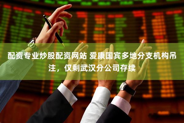 配资专业炒股配资网站 爱康国宾多地分支机构吊注，仅剩武汉分公司存续