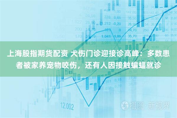 上海股指期货配资 犬伤门诊迎接诊高峰：多数患者被家养宠物咬伤，还有人因接触蝙蝠就诊